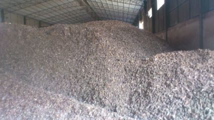 销售木薯产地百色新鲜木薯,用于提取淀粉和制作饲料