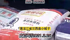 猪我赢直销饲料2021.01.31黑龙江省青冈县中和镇张继林150头商品猪